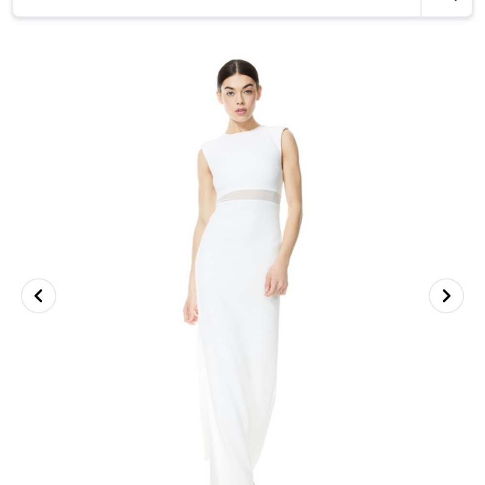 Alice & Olivia Whitley Sleeveless Gown NWT Wedding/Graduation/Prom  Size 14